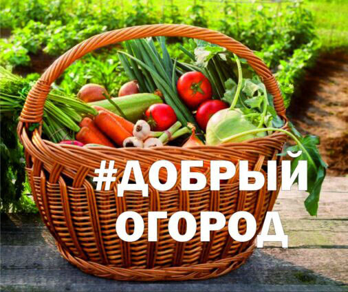 Всероссийская огроволонтёрская акция #Добрый огород продолжается!